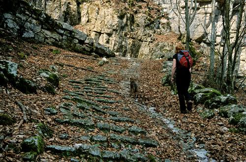 Calà del Sasso - Valstagna