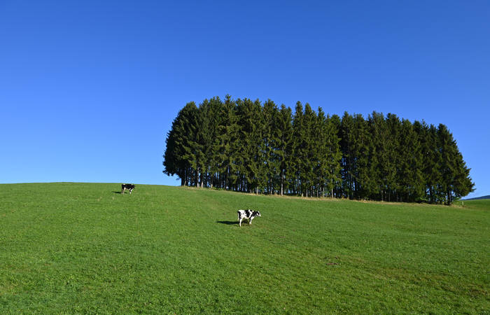 Ossario della Grande Guerra di Asiago, Sacrario Militare Leiten, Altopiano di Asiago Sette Comuni