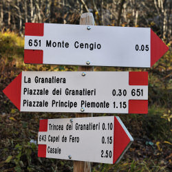 Monte Cengio - Altopiano Asiago