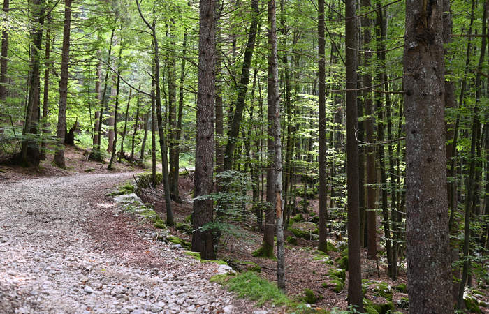 monte Lemerle a Cesuna di Roana