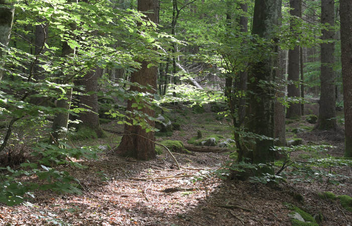 monte Lemerle a Cesuna di Roana