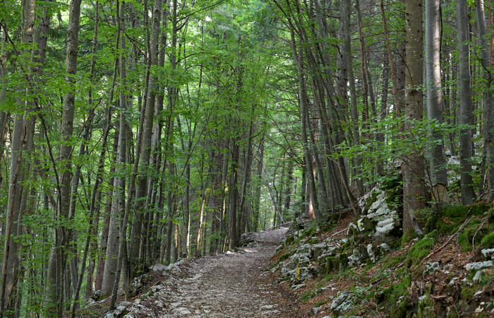 monte Lemerle a Cesuna di Roana