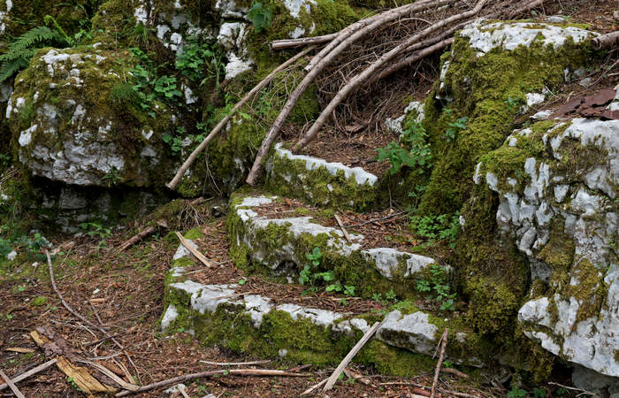 monte Lemerle a Cesuna di Roana