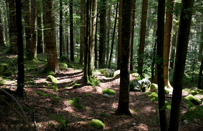 monte Lemerle a Cesuna di Roana