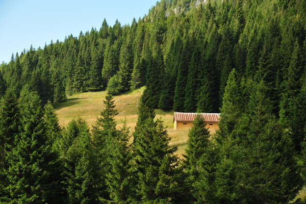 Gallio, Val Di Nos, Campomulo, Fiaretta, Fiara, BoscoSecco, Busette