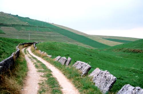 Gallio - Altopiano di Asiago