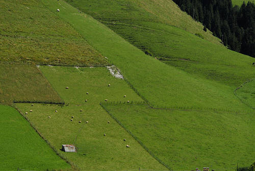 Gallio - Altopiano di Asiago