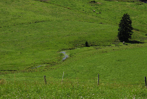 Gallio - Altopiano di Asiago