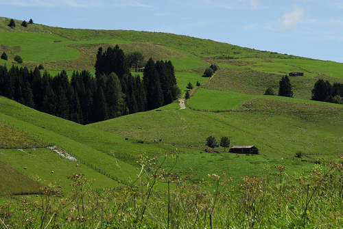 Gallio - Altopiano di Asiago