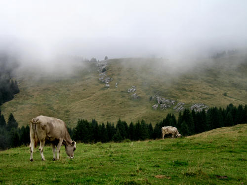 LOngara alle Melette di Gallio - Altopiano di Asiago