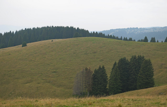 LOngara alle Melette di Gallio - Altopiano di Asiago