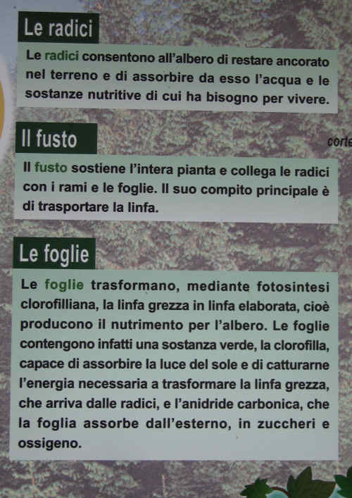 Sentiero didattico valle di Nos a Gallio