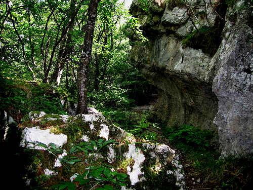 Alta Kugela - Rotzo - Altopiano Asiago 7 Comuni