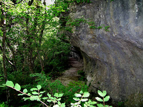 Alta Kugela - Rotzo - Altopiano Asiago 7 Comuni