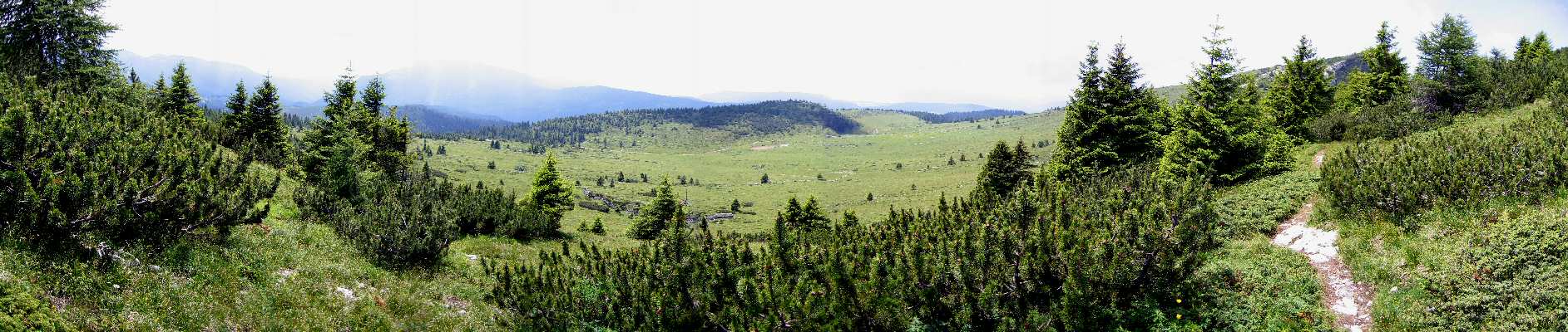 Cima Larici malga Porta Manazzo - fotografia panoramica