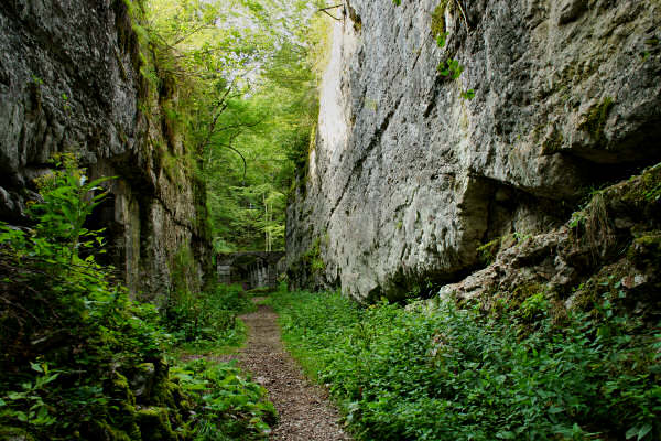 Lavarone, fortezze bike tour, 100 km dei forti