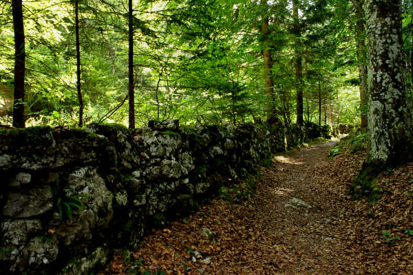 Lavarone, fortezze bike tour, 100 km dei forti