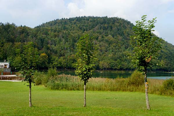 Lavarone, fortezze bike tour, 100 km dei forti