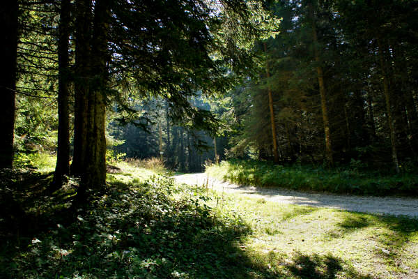 Vezzena Luserna, fortezze bike tour, 100 km dei forti