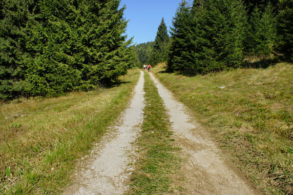Vezzena Luserna, fortezze bike tour, 100 km dei forti
