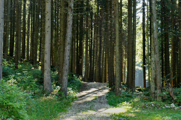 Vezzena Luserna, fortezze bike tour, 100 km dei forti