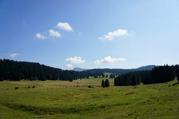 Vezzena Luserna, fortezze bike tour, 100 km dei forti