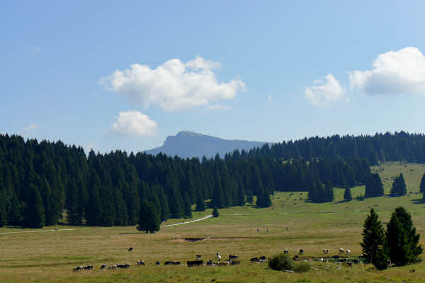 Vezzena Luserna, fortezze bike tour, 100 km dei forti
