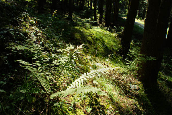 Vezzena Luserna, fortezze bike tour, 100 km dei forti