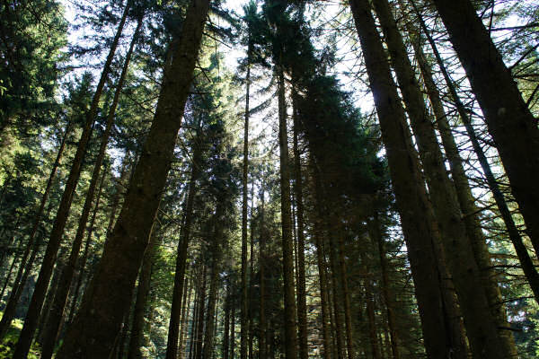 Vezzena Luserna, fortezze bike tour, 100 km dei forti