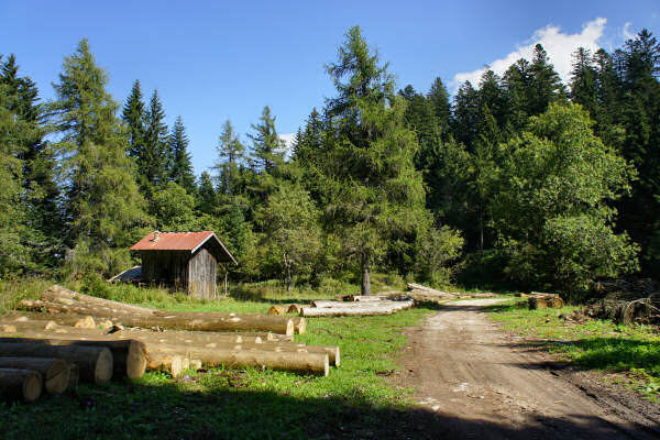 Vezzena Luserna, fortezze bike tour, 100 km dei forti