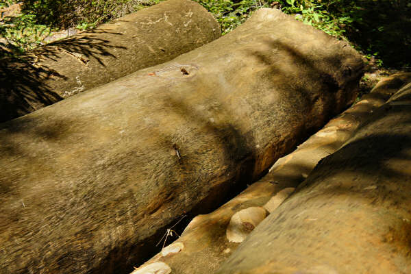 Vezzena Luserna, fortezze bike tour, 100 km dei forti