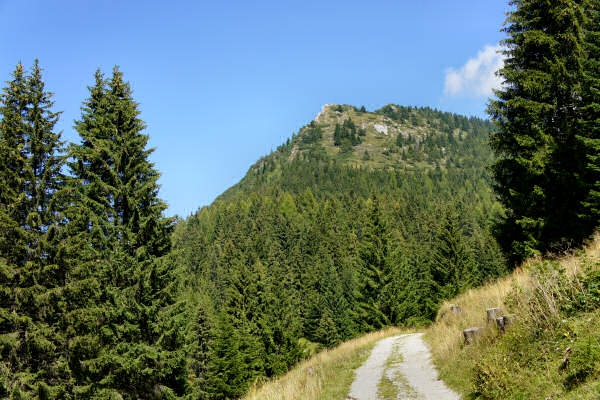 Vezzena Luserna, fortezze bike tour, 100 km dei forti