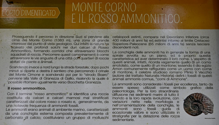 sentiero storico-naturalistico al monte Corno di Lusiana