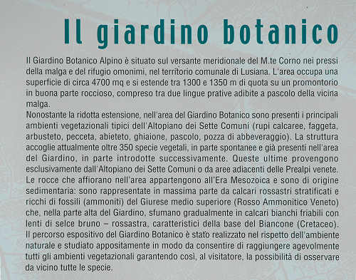 Monte Corno - Lusiana