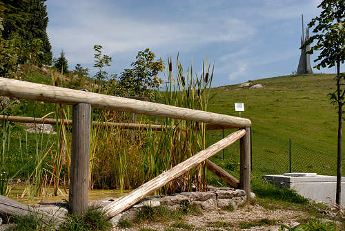 Monte Corno - Lusiana