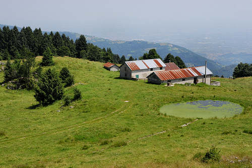 Monte Corno - Lusiana