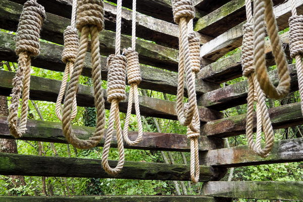 Parco del Sojo a Covolo di Lusiana, di Diego Morlin