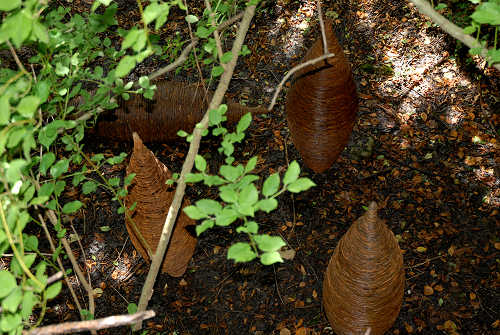 Parco del Sojo - Covolo di Lusiana