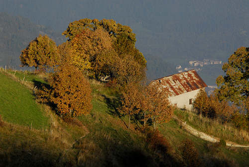 Valmaron, Marcesina - Enego 2000