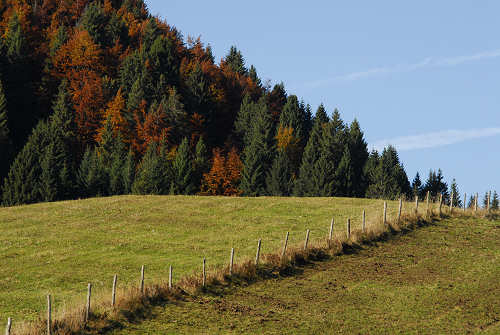 Valmaron, Marcesina - Enego 2000