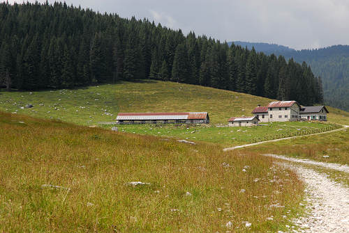Piana di Marcesina, Enego, Altipiano di Asiago Sette Comuni