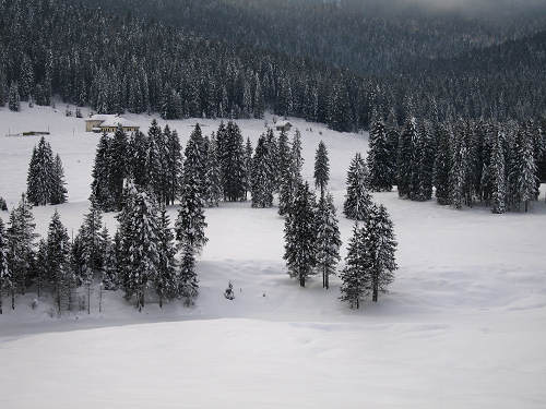 Marcesina, Enego - Altipiano di Asiago