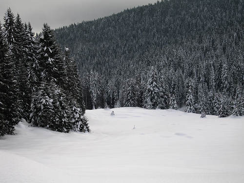 Marcesina, Enego - Altipiano di Asiago