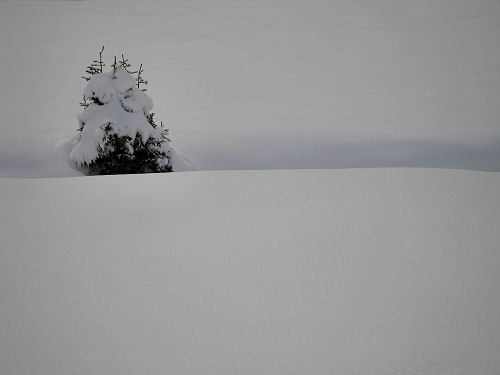 Marcesina, Enego - Altipiano di Asiago