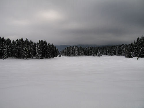 Marcesina, Enego - Altipiano di Asiago