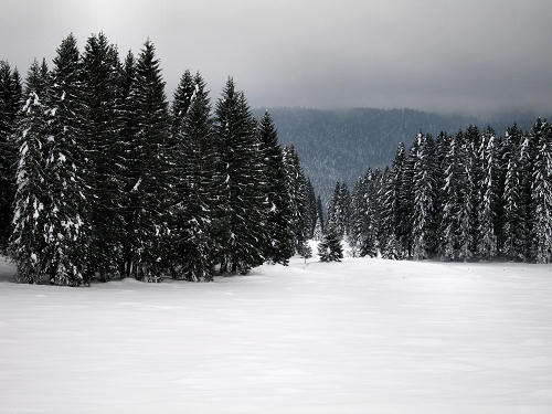 Marcesina, Enego - Altipiano di Asiago