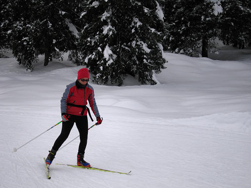 Marcesina, Enego - Altipiano di Asiago