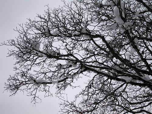 Marcesina, Enego - Altipiano di Asiago