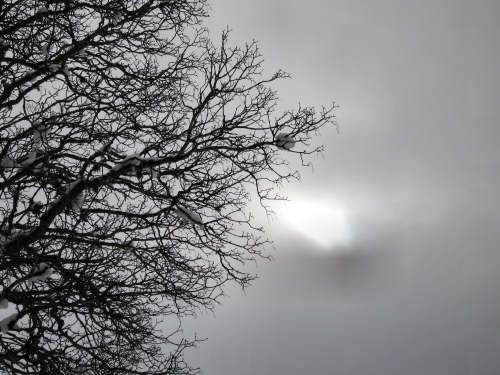Marcesina, Enego - Altipiano di Asiago
