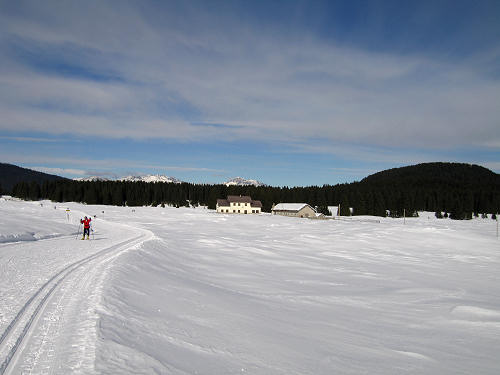 Marcesina, Enego - Altipiano di Asiago